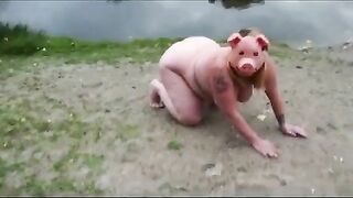 Oink oink compilation