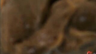 Shitting hard on all fours