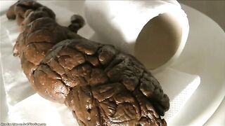 A gigantic brown turd