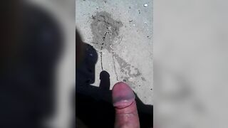 Beach piss and cock wank
