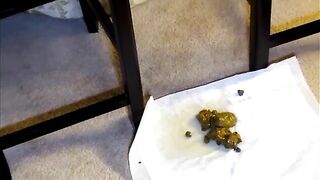 Ebony pooping on two black chairs