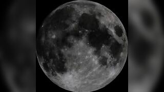 Sweet pale brunette babe masturbates