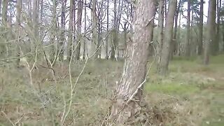 Big dump in roadside