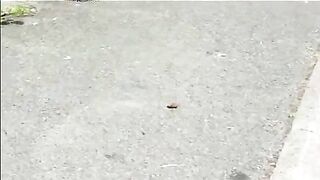 Blonde mature shitting in public