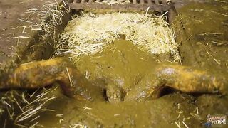 Sexy Brooke Maddison Discovering the joy of cow shit