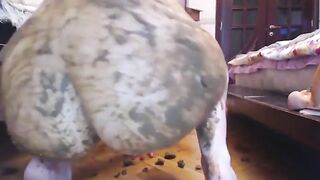 Dirty Young Scat Beauty Goddess