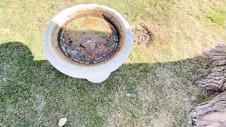 Lovely Aussie tattooed girl pissing outdoor