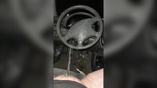 Beautiful piss in the car