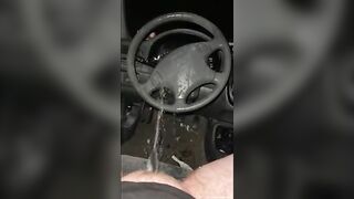 Beautiful piss in the car