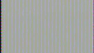 Jamie Gillis and his slave Carol in kiny play