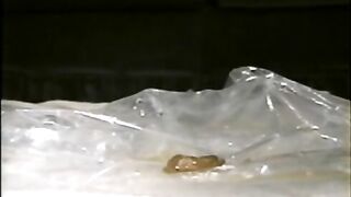 Little quickie poop eating