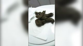 Massive shit in the plate