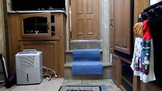 Thick fat ass lady shits for you