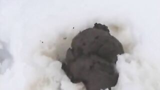 Nina's big nice poop in the snow