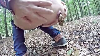 Poop on the forest floor