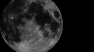 Kinky brunette girl eating shit and smearing