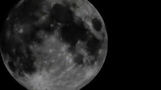 Russian Girl Betty Swallows Shit