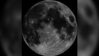 Scat Make Up Tutorial Show