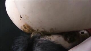 Scat face sitting show