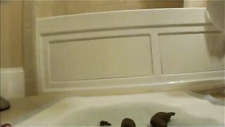 Nice shaved fat pussy girl showing her shit