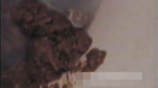 Amateur poop closeup at home