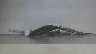 Lady takes a huge shit and wipes it with paper.