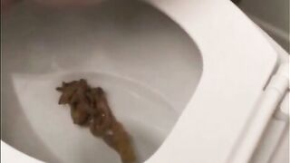 Soft squishy poop closeup