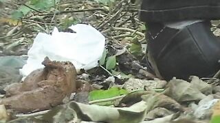 Messy Squidgy shit in the woods