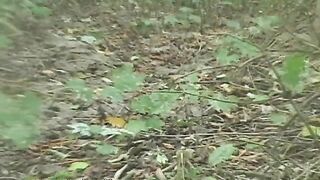 Messy Squidgy shit in the woods