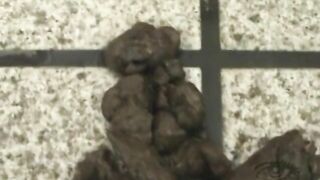 Compilation of hot Japanese gals and shit