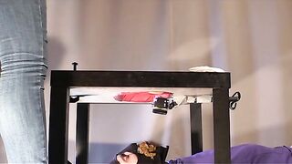 Toilet Slave gets fresh load