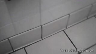 Woman caught shits in public bathroom