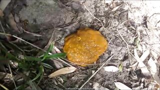 BBW pooping outdoors in the field