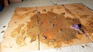 Bitch Brown Nylons Socks & Shit