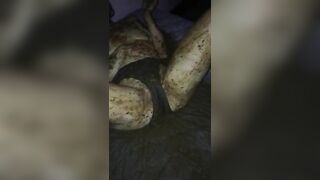 Love Shit Compilation