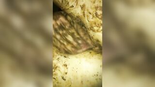 Love Shit Compilation