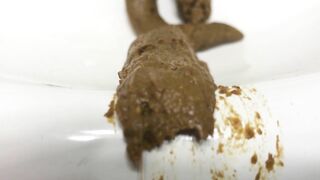 Shit Sliding Into Sink Bowl