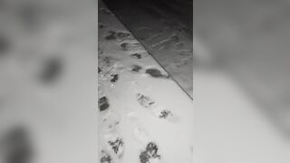 Winter scat flashing at home