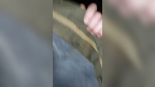 Winter scat flashing at home