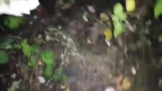 Disgusting slut loves shitting and pissing outdoor