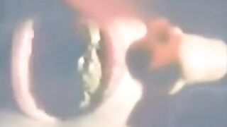 Dutch Vintage Dildo Scat Fuck