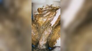 Extreme scat bitch getting hammered