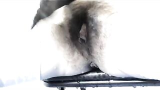 Hairy hot milf and sexy piss with shit