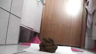 Nasty lady making shit pile on the floor