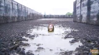 Chubby girl baths in shit