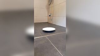 Tranny babe shits on a plate