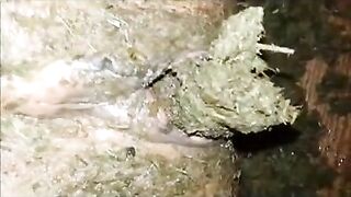 Special shit eating and pussy smearing