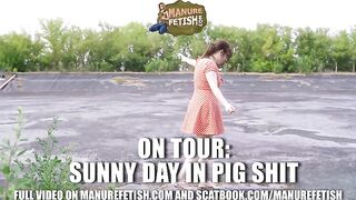 Sunny Day Fun In Pig Shit