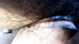 Thanksgiving scat dinner