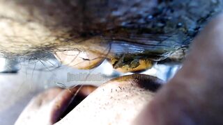 Thanksgiving scat dinner